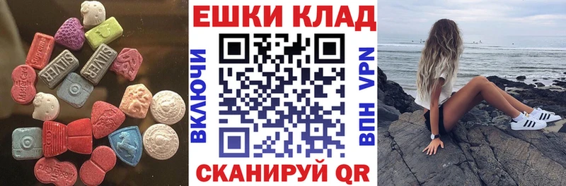Купить закладки  Устюжна  Ecstasy диски 