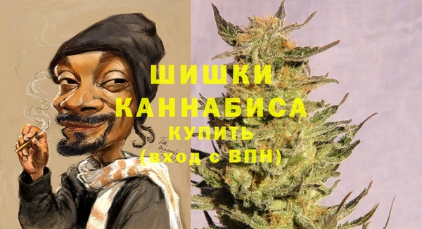 ГАЛЛЮЦИНОГЕННЫЕ ГРИБЫ Краснотурьинск