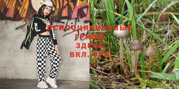 шишки Красноперекопск