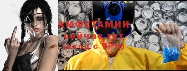 ГАЛЛЮЦИНОГЕННЫЕ ГРИБЫ Краснотурьинск