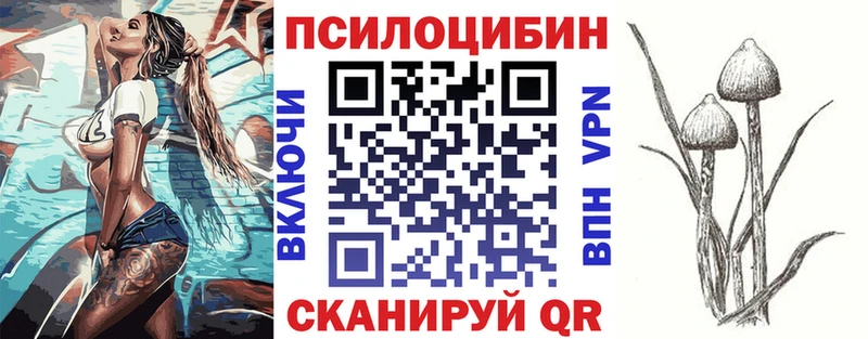 Купить закладки  Устюжна  Псилоцибиновые грибы MAGIC MUSHROOMS 