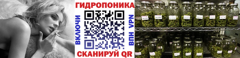 Шишки марихуана планчик  Купить  Устюжна 